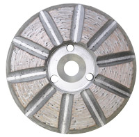 10 Segment Disks