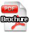 PDF Icon